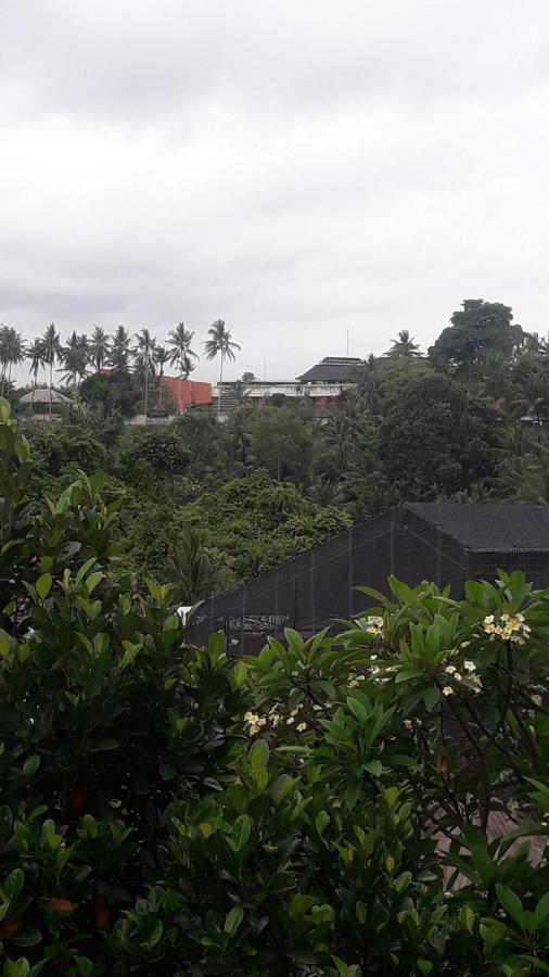 Waterfall Guest House Sukawati Extérieur photo